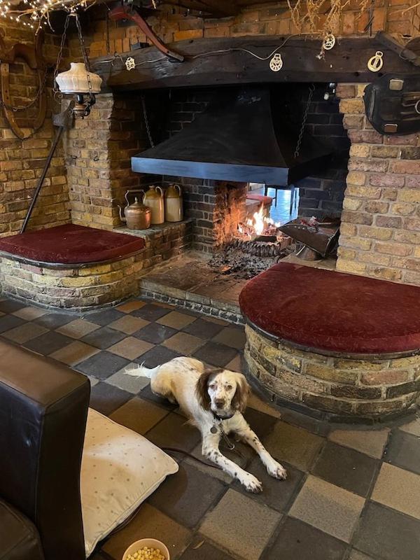 Hotel The King William IV à Heydon  Extérieur photo